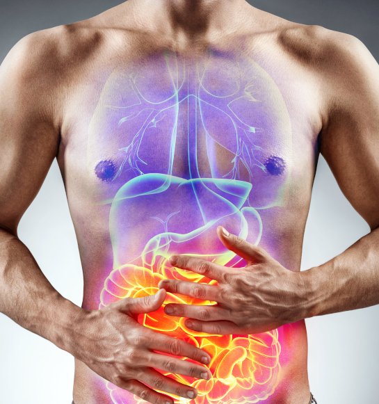 Inflamação e equilíbrio do organismo