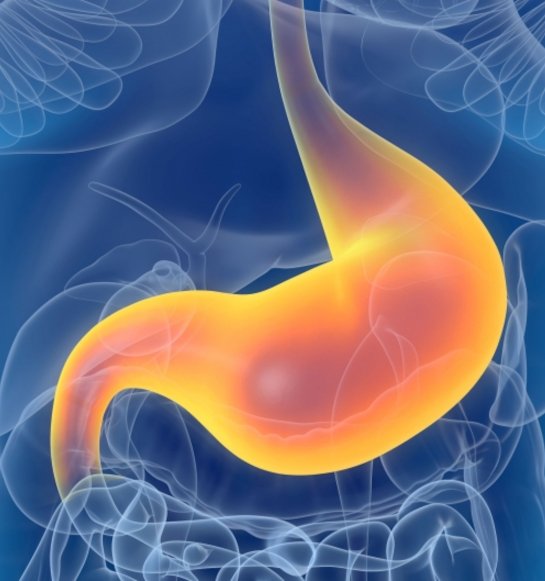 Saúde digestiva e intestinal