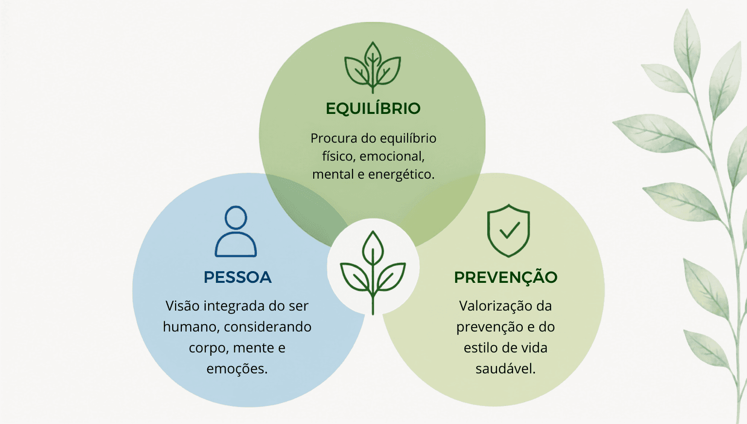 Infográfico que apresenta os princípios comuns das Medicinas Tradicionais, Complementares e Integrativas: pessoa, equilíbrio e prevenção.